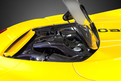 Ferrari 488 GTS / Pista Spider - Carbon Fiber Engine Side Covers