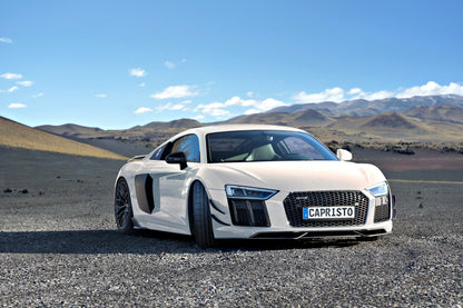 Audi R8 (Gen2) - Carbon Fiber Side Fins
