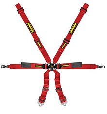 Schroth Enduro 2x2 Porsche GT2-GT3-GT4 6 Point Racng Harness 2029 Expiry